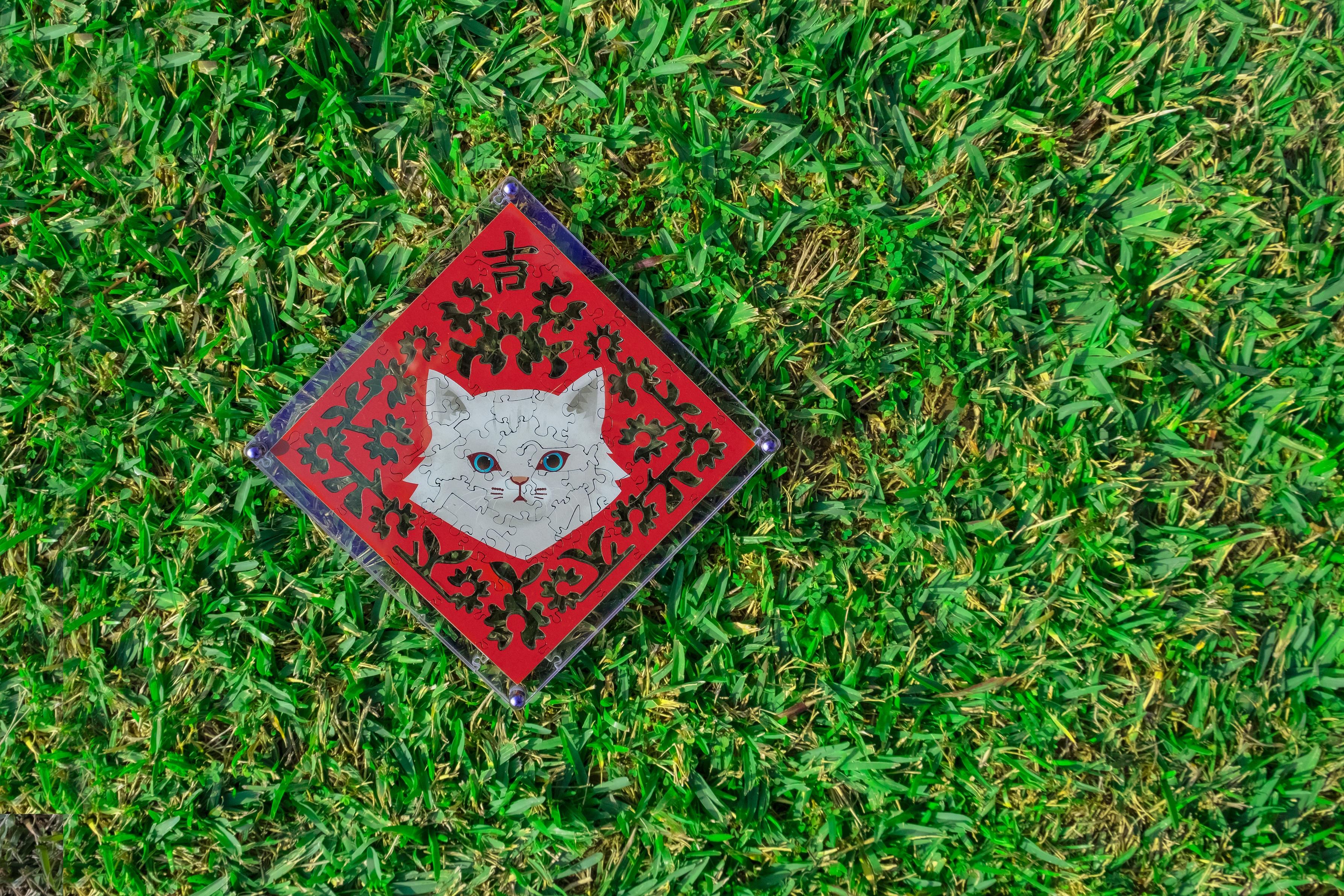 Paper Cutting Spring Couplets-chinchilla cat